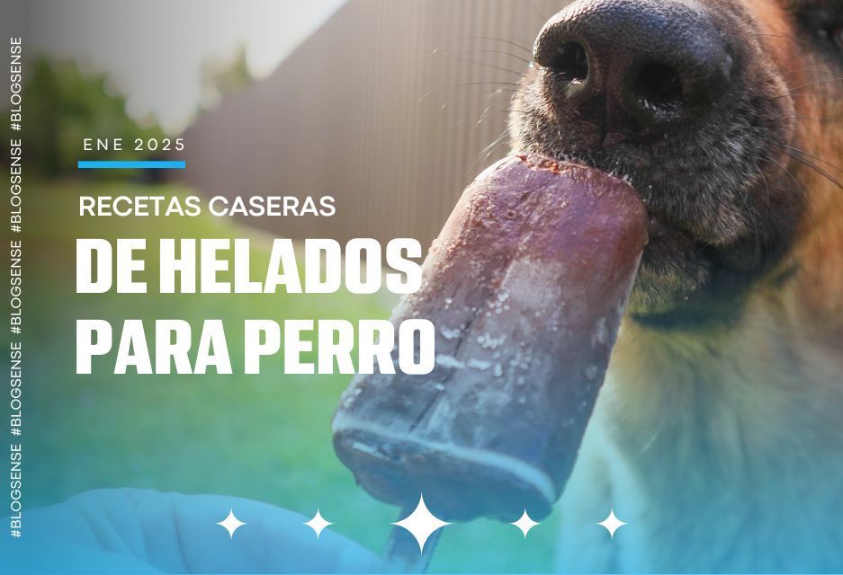 Recetas caseras de helados para perro